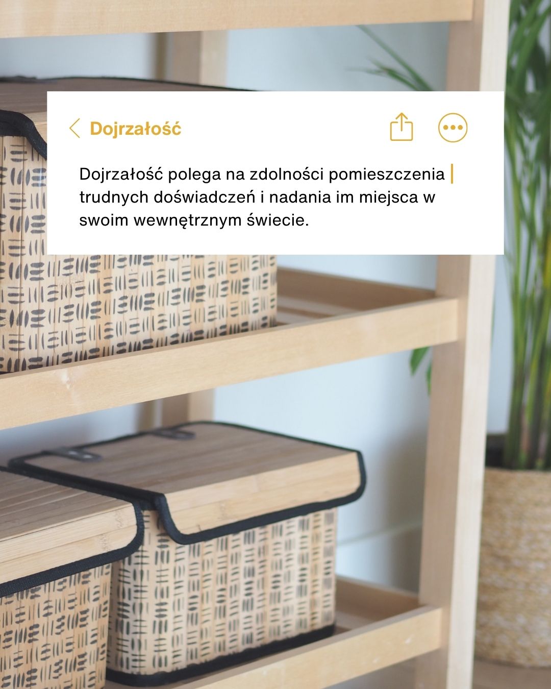 Dojrzałość polega na zdolności pomieszczenia trudnych doświadczeń i nadania im miejsca w swoim wewnętrznym świecie.